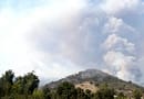 Balance conaf: hay 98 incendios forestales en combate y 181 controlados